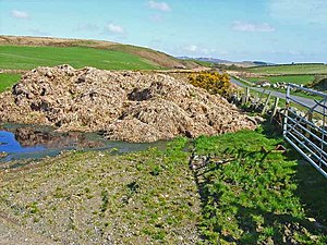 Todhar: Stuth organach, sa mhòr-chuid a’ tighinn bho salchar bheathaichean, air a chleachdadh mar thodhar àiteachais