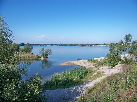 Eilenburg Kiesgrube Ostufer