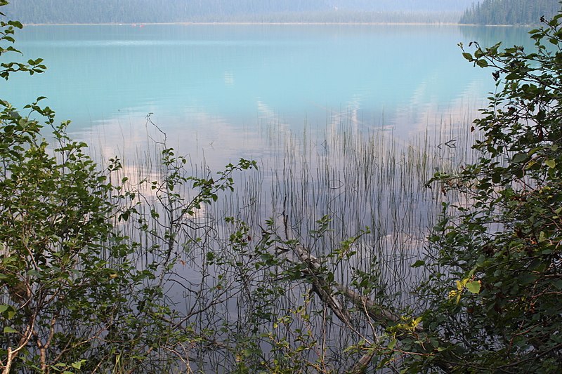 File:Emerald Lake IMG 5127.JPG