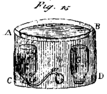Plate VII. Fig. 16