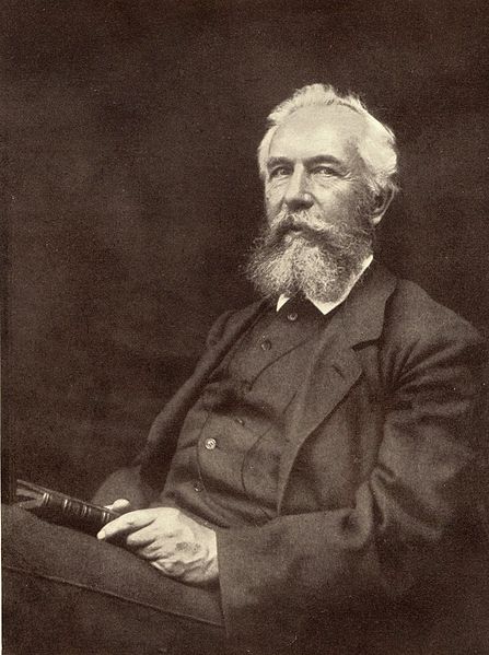 File:Ernst Haeckel 1896.jpg