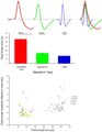 Recordings in the hippocampus from different cell types and axons