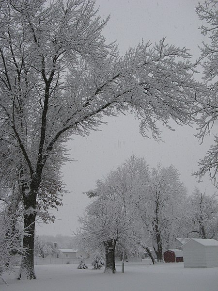 File:Farmersville Frosted - panoramio.jpg
