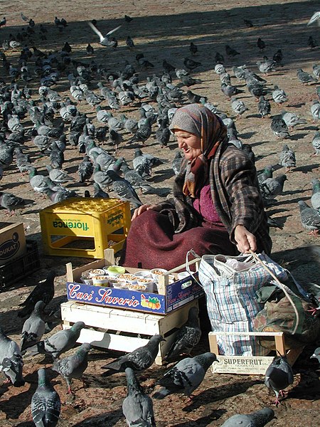 File:Feeding the birds - Flickr - spiderman (Frank).jpg