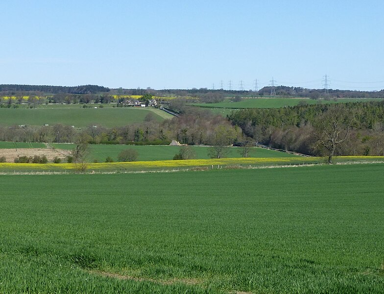 File:Fields of cereal and oil seed rape - geograph.org.uk - 4450849.jpg