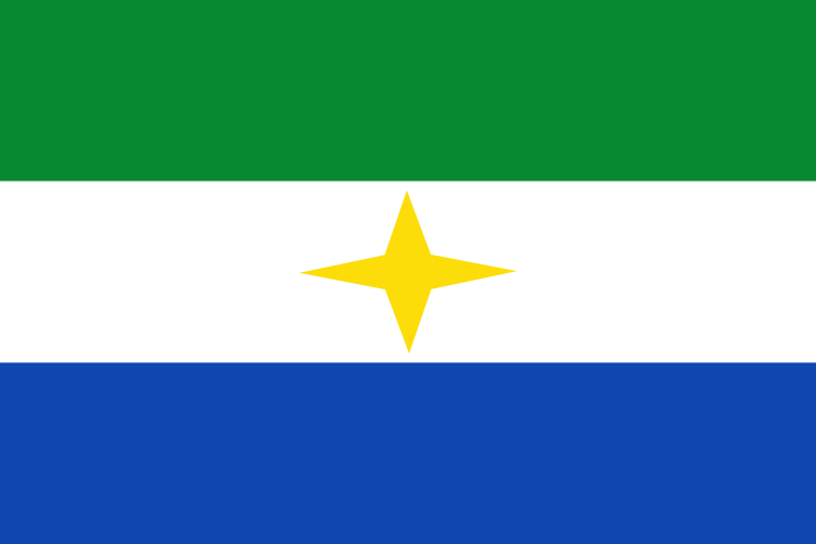 File:Flag of Tierralta (Córdoba).svg