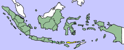 Floresin (keltainen) sijainti Indonesiassa (vihreä)