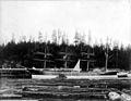 Four-masted bark OMEGA at anchor, Washington, ca 1900 (HESTER 807).jpeg