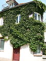 Frankfurt-Bockenheim Haus Friesengasse 14, vormals Bäckerei