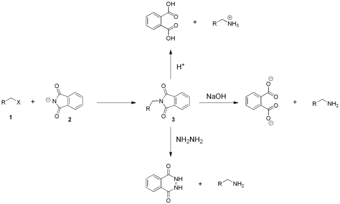 Gabriel synthese