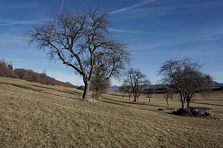 Geislingen Wiesenlandschaft bei Balingen DSC0477