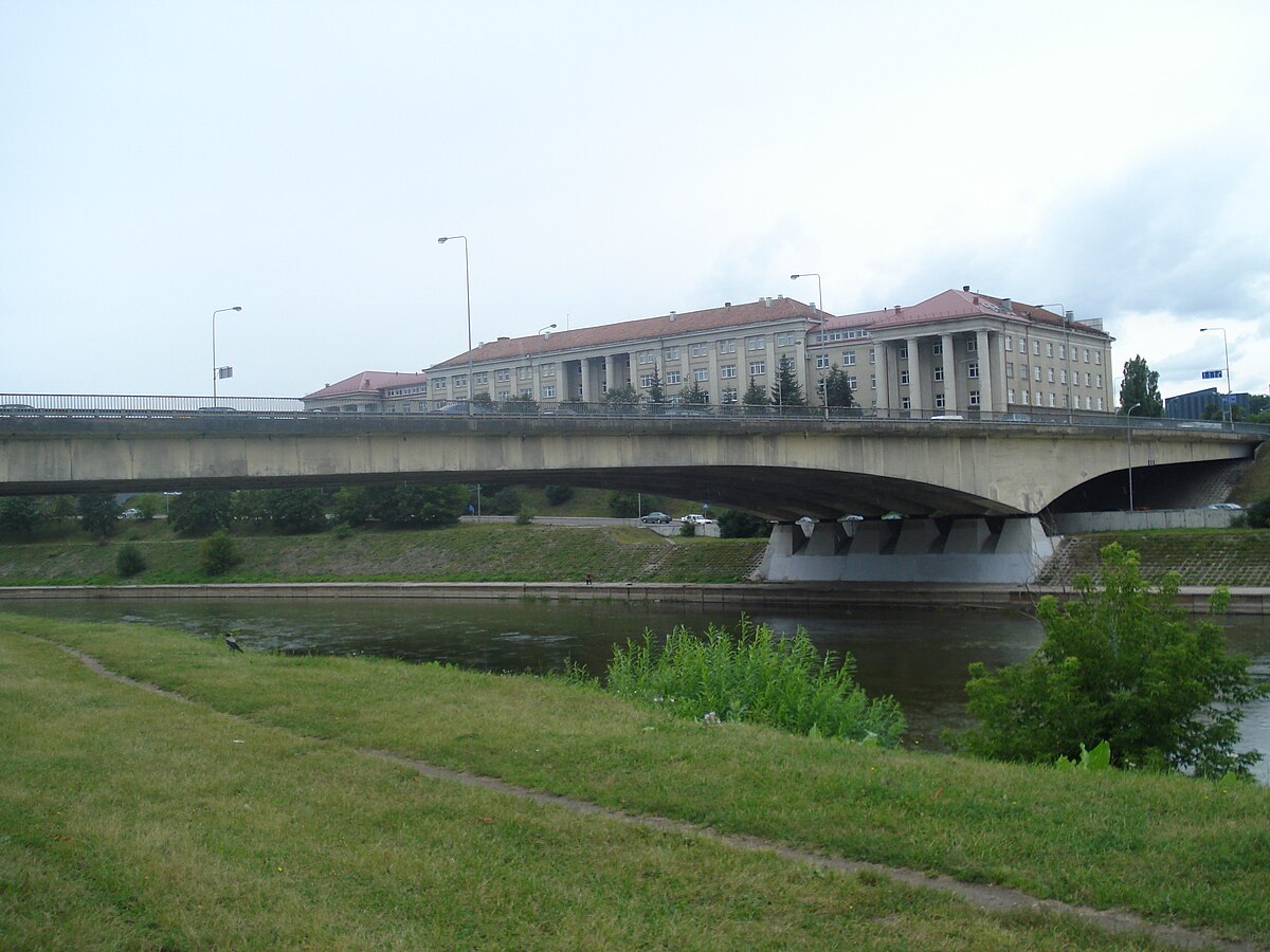 вильнюс мост