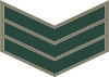 Gilgit−Baltistan Scouts OR-6.svg