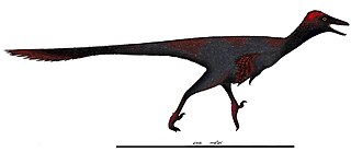<i>Gobivenator</i> Extinct genus of dinosaurs