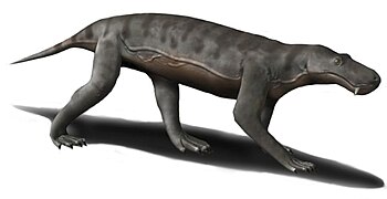 Gorgonops