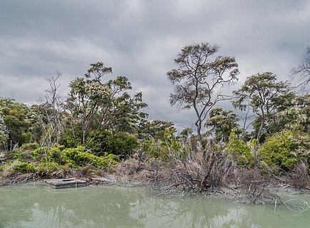 Government Gardens in Rotorua, Bay of Plenty Region, North Island of New Zealand