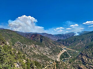 <span class="mw-page-title-main">Grizzly Creek Fire</span> 2020 wildfire in Colorado, United States