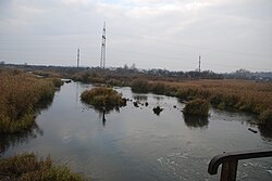 Грушевка у мкр. Молодёжного города Новочеркасска