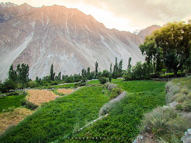 Gulmit Village in Summers