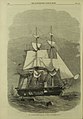 HM Steam-Corvette Racoon, 22 Guns, 1863.[5] Fitted out for Prince Alfred's arrival.