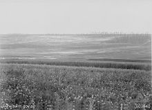 Hamel Wood during the attack. Two parachutes that were dropped from aircraft with ammunition for the forward troops can be seen. Hamel-4July1914-AWM-E03840.jpeg