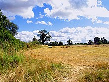 A field of cut crops