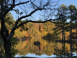 Herb Parsons Lake in Autumn.png