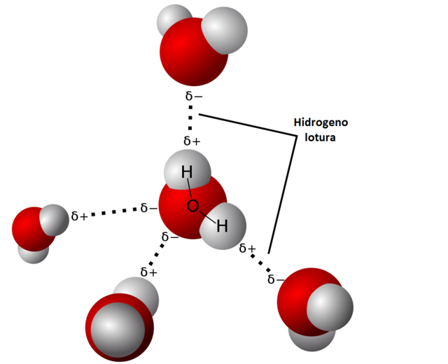 Peso molecular hidrogeno