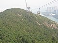 Ngong Ping 360