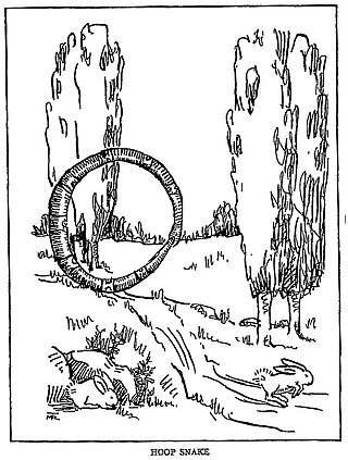 <span class="mw-page-title-main">Hoop snake</span> Mythological creature