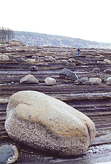 A rocky beach on Hornby Island