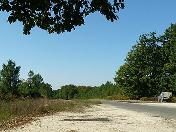 Der Forst Forêt d’Horte bei Grassac