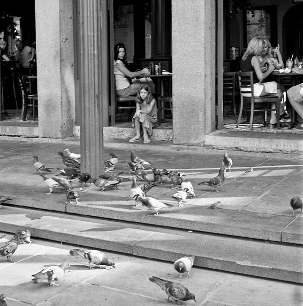 File:Jackson Square pigeon watcher, New Orleans.jpg