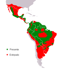 Distribución del jaguar. En rojo las zonas en donde se ha extinguido, en verde las zonas donde perdura.[2]​