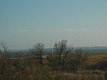 Jamaica Bay Wildlife Refuge