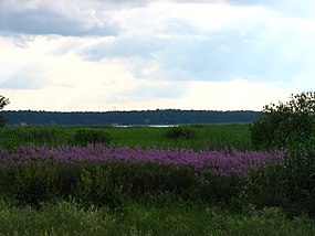 Jaunciems, Northern District, Riga, Latvia - panoramio.jpg