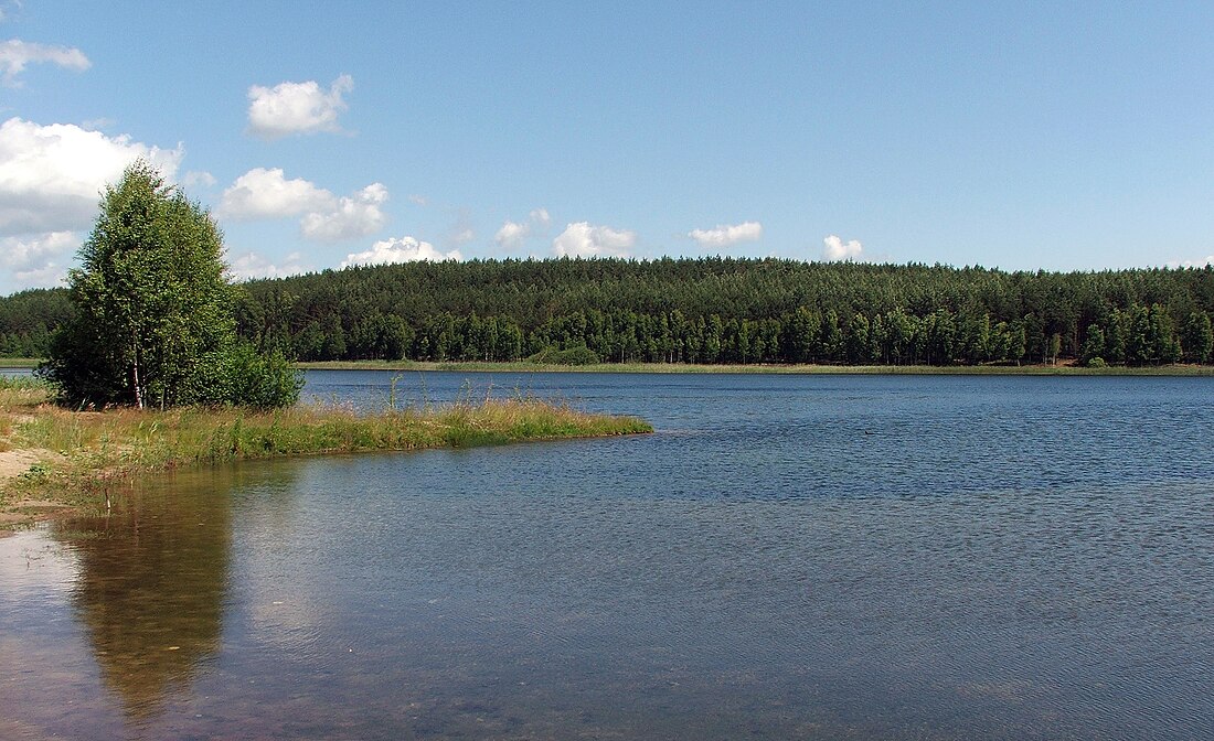 Čluhovas apriņķis