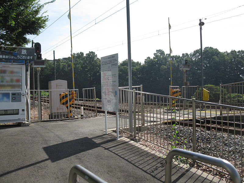 File:Joden-Shinzo-kekkan-center-station-entrance-20100907.jpg