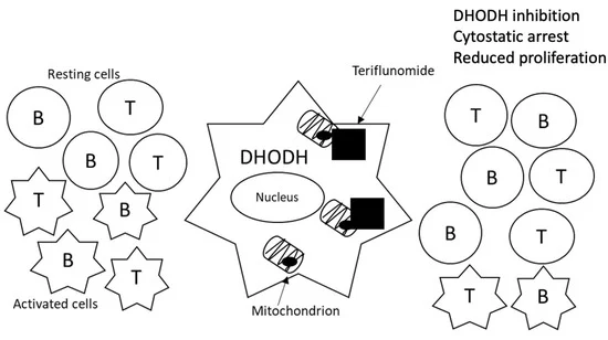 File:Jpm-11-00335-g002-550.webp