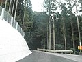 加茂町大西 徳島県道282号大井南島線 (4)