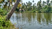 Thumbnail for Karuvannur River