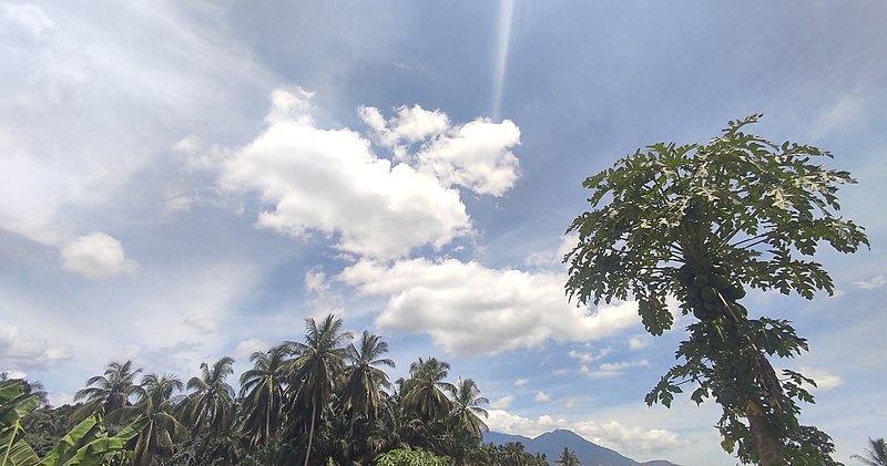 File:Kebun Jagung dengan Latar Pegunungan Di Pasaman Barat 02.jpg