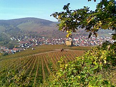 Ausblick zur Yburg