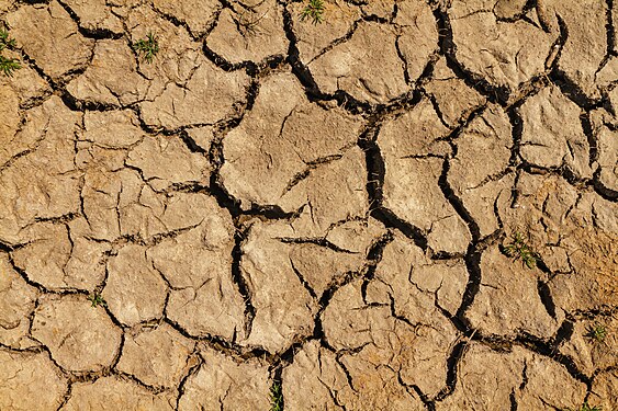 Soil dryness due to climate change