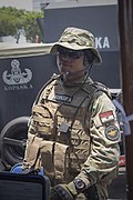 Indonesian National Armed Forces