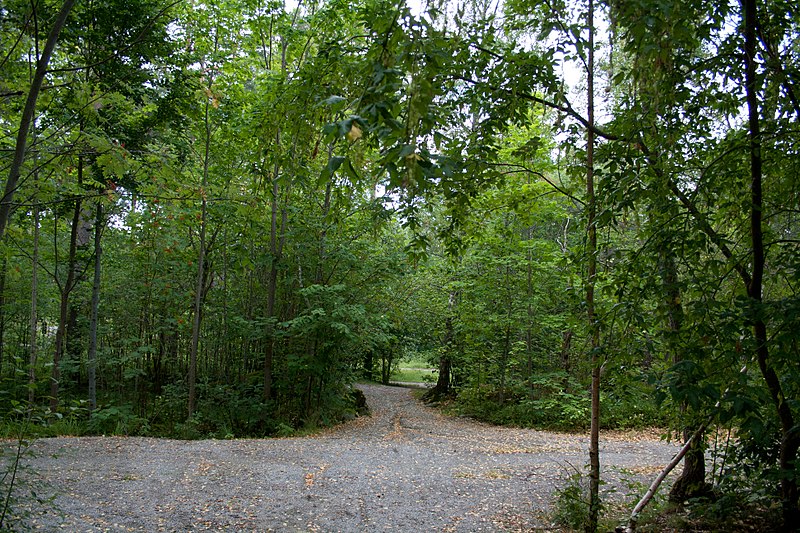 File:Kyrkberget lindesberg väg stig sydväst.jpg