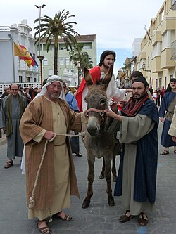 Domingo De Ramos: Base bíblica y simbolismo, Narración, Texto bíblico