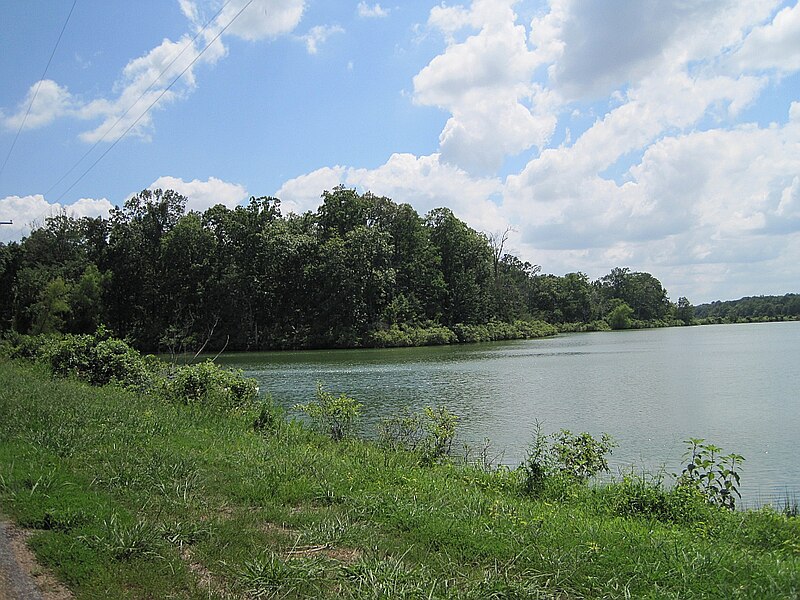 File:Lake Hogue Poinsett County AR 005.jpg