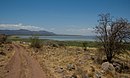 Manyara lake