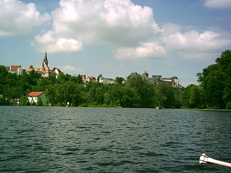 Leisnig und Burg Mildenstein.jpg